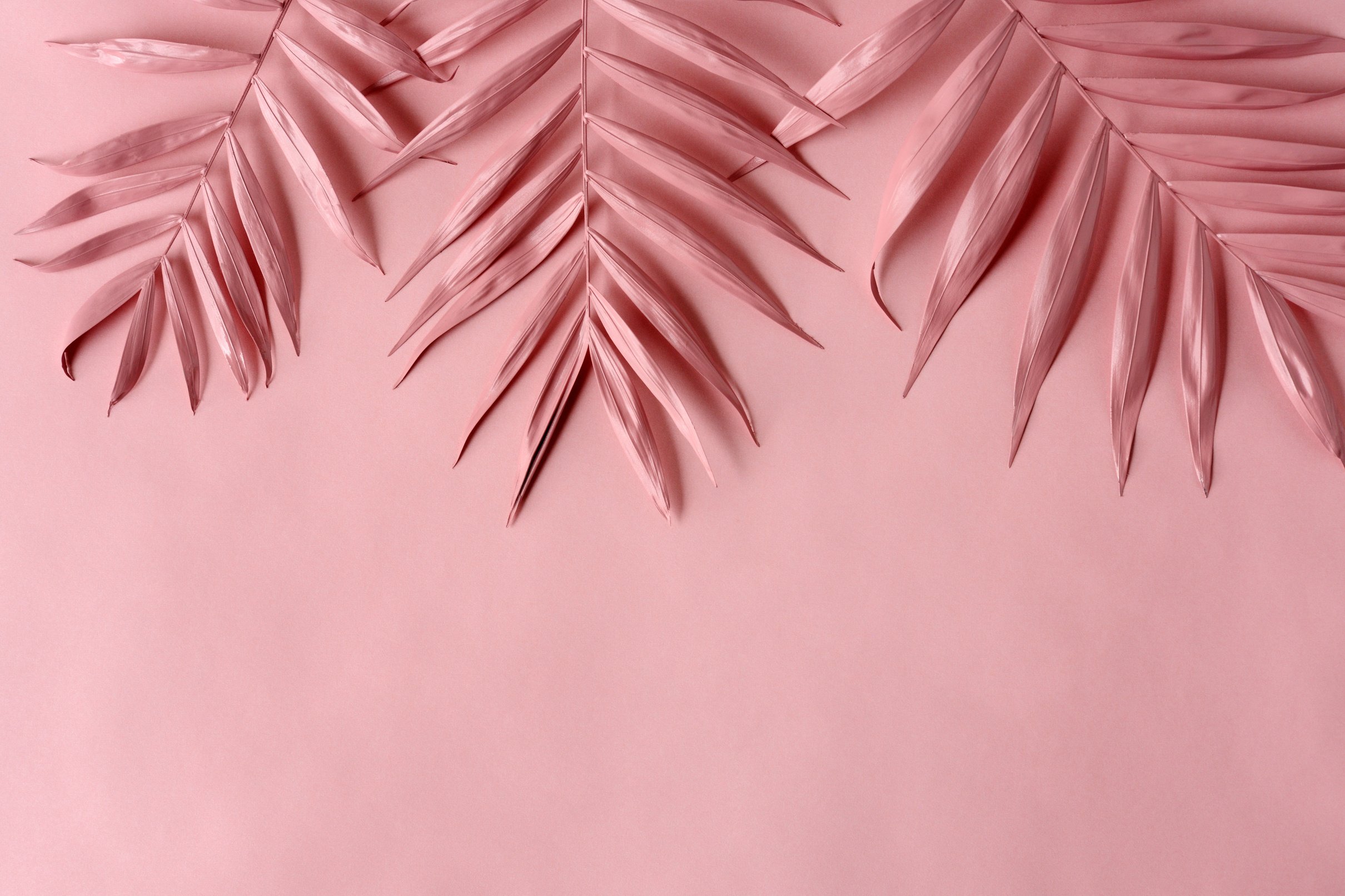 Pink Palm Leaves on Pink Background